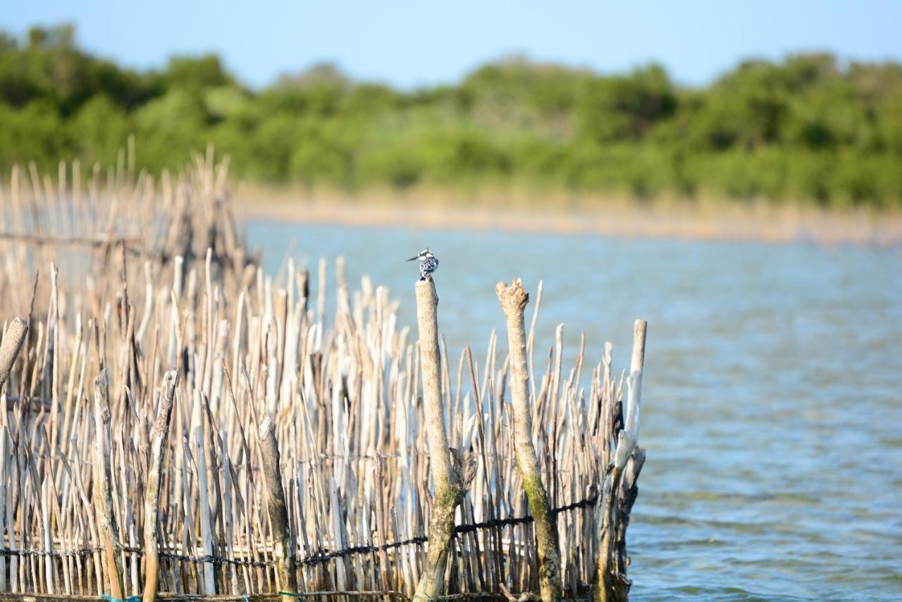 Kosi Bay Private Lodge Manguzi Eksteriør bilde